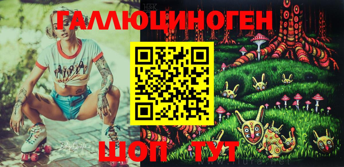 Псилоцибиновые грибы Psilocybine cubensis  Вход с VPN  Артёмовский  Галлюциногенные грибы прущие грибы 
