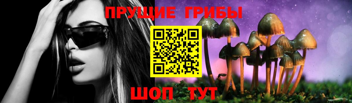 Галлюциногенные грибы MAGIC MUSHROOMS Артёмовский